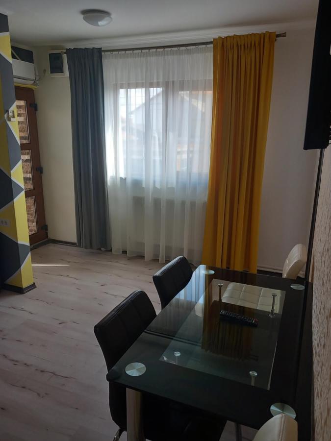 Vila Davison Târgu Jiu المظهر الخارجي الصورة