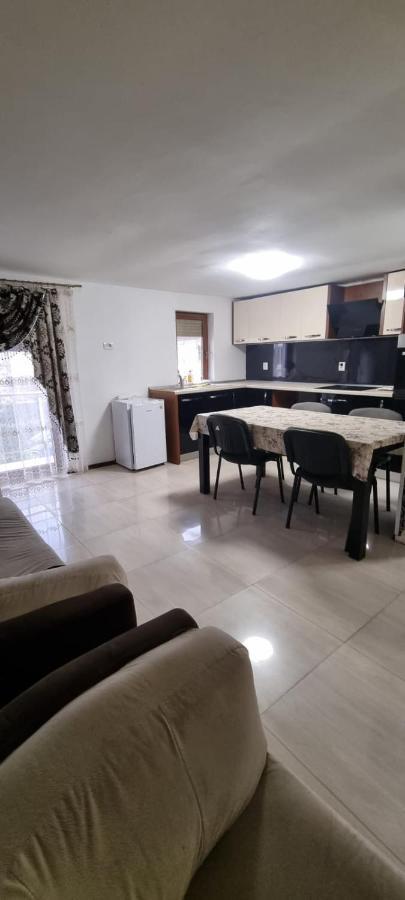 Vila Davison Târgu Jiu المظهر الخارجي الصورة