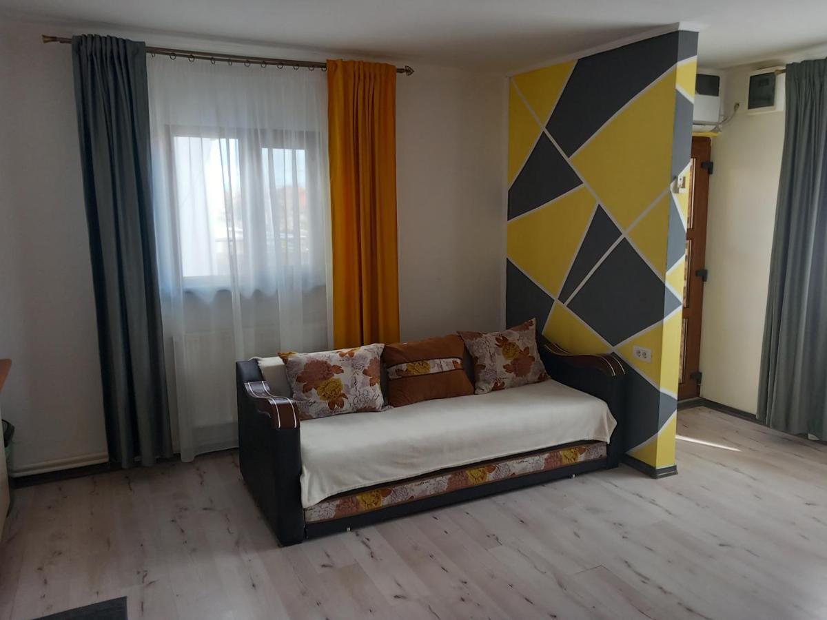 Vila Davison Târgu Jiu المظهر الخارجي الصورة