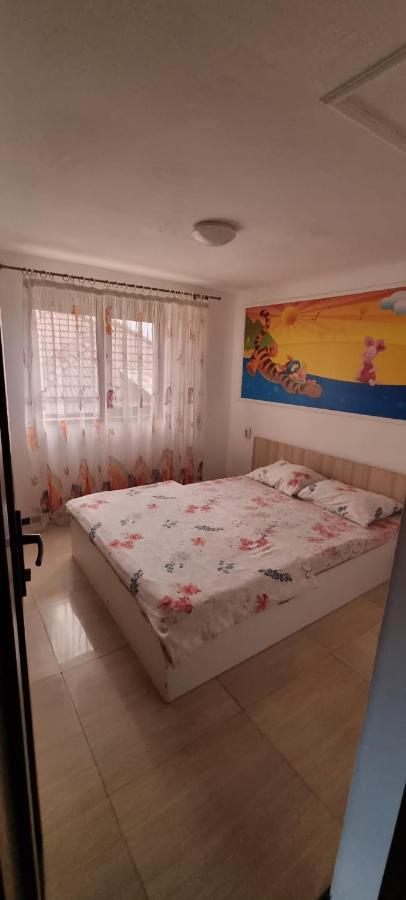 Vila Davison Târgu Jiu المظهر الخارجي الصورة
